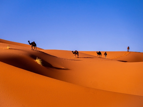 Travel Image 4